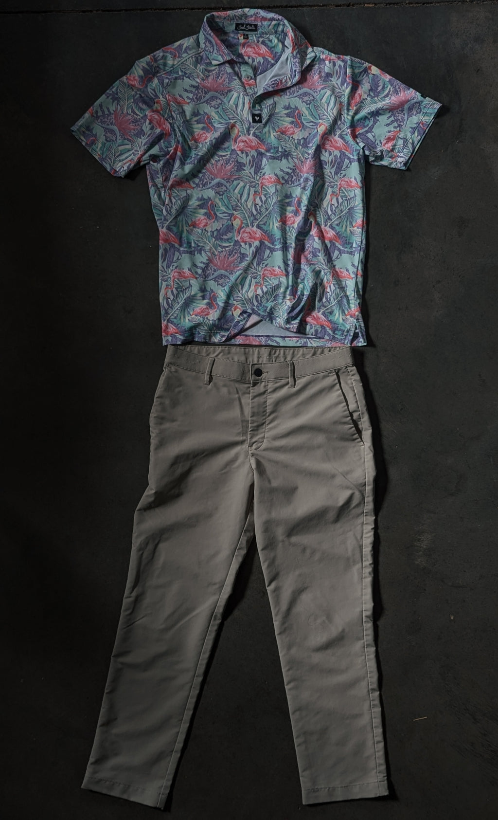 Bad Birdie Golf Shirt W/Banana Republic Active Pants
